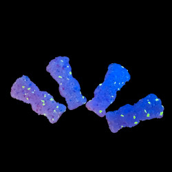 Sour Patch Kids Glow-Ups